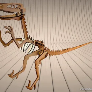 Das 3D-Velociraptor-Skelett für Entdecker